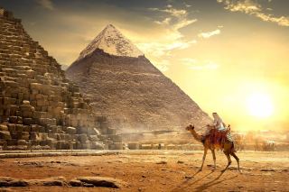 Alexandria