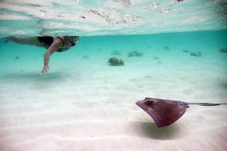 Grand Turk cruise excursions