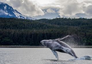 Icy Strait